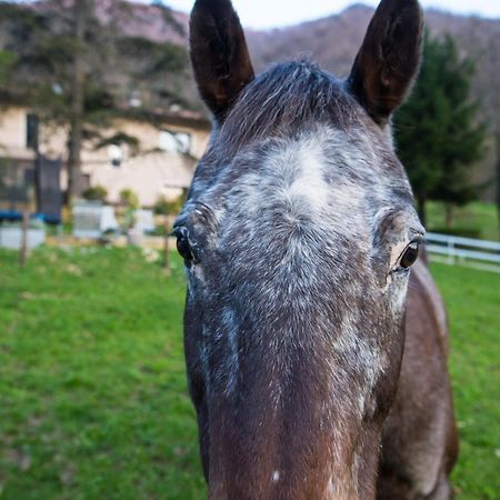 Cascina Canale Sabbio Chiese Eksteriør billede
