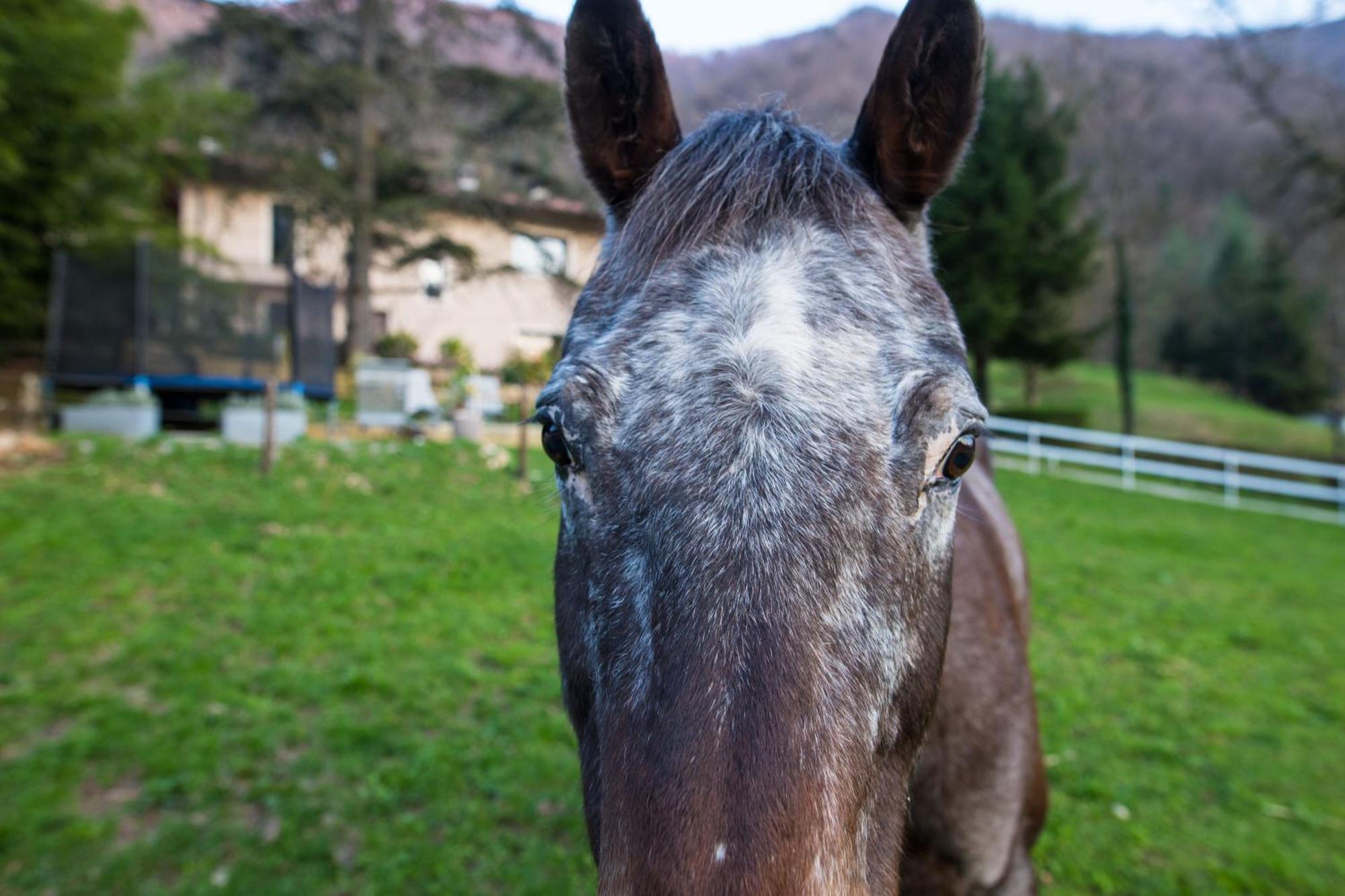 Cascina Canale Sabbio Chiese Eksteriør billede