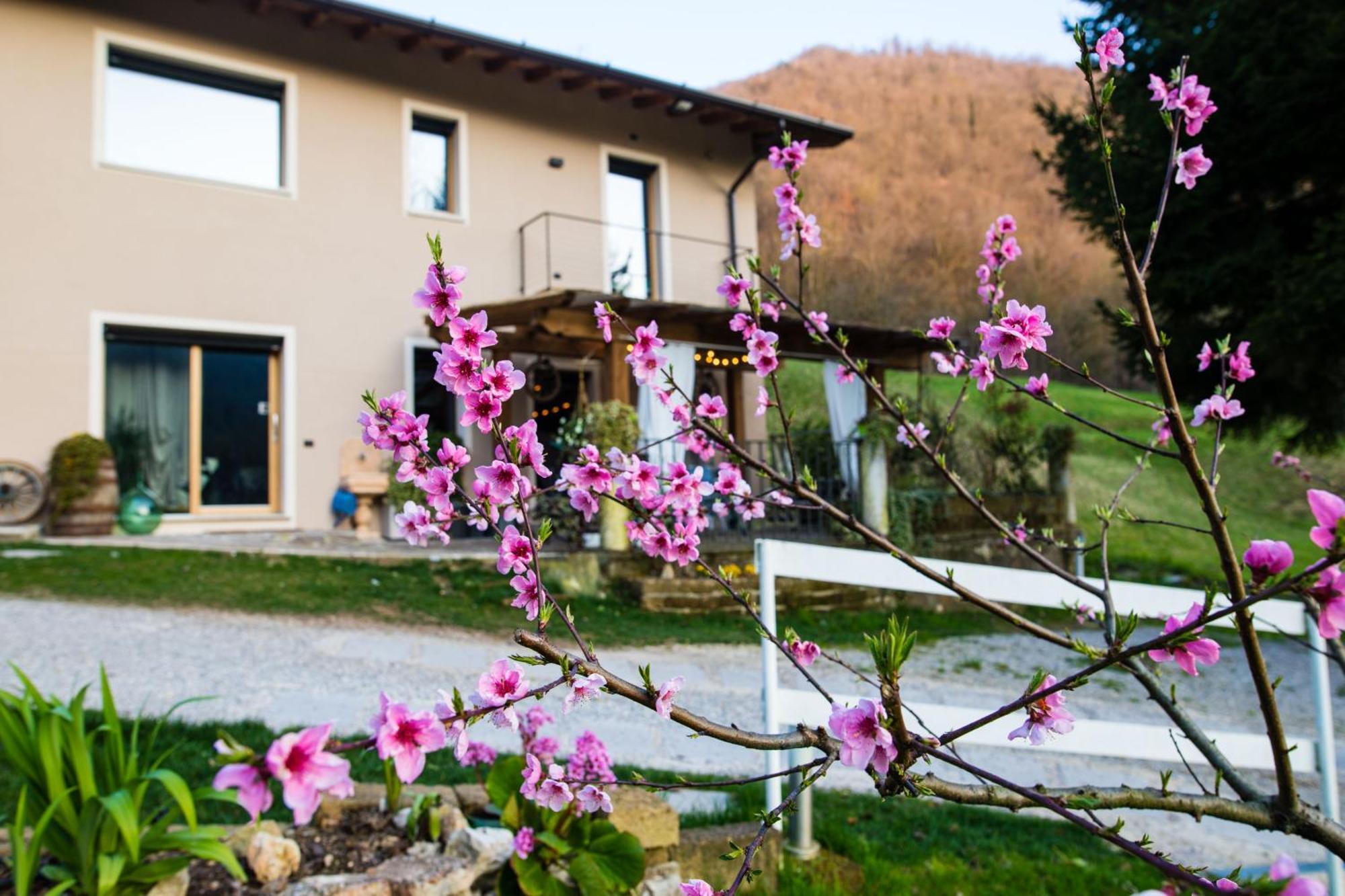 Cascina Canale Sabbio Chiese Eksteriør billede